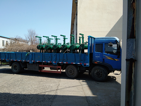 �ɹ�����