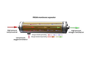 ��?d��)�Ĥ���x������ʾ��D